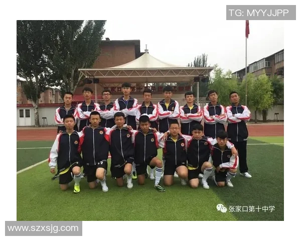 重庆足球队技术实力强劲荣登全国足球技术排行榜第九位