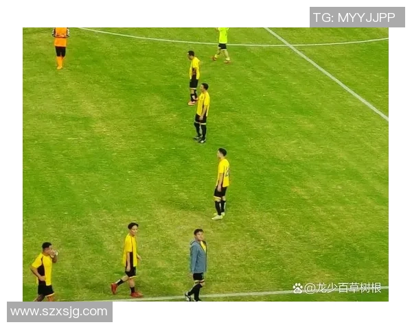 香港足球明星队中场的崛起与挑战解析及未来发展展望